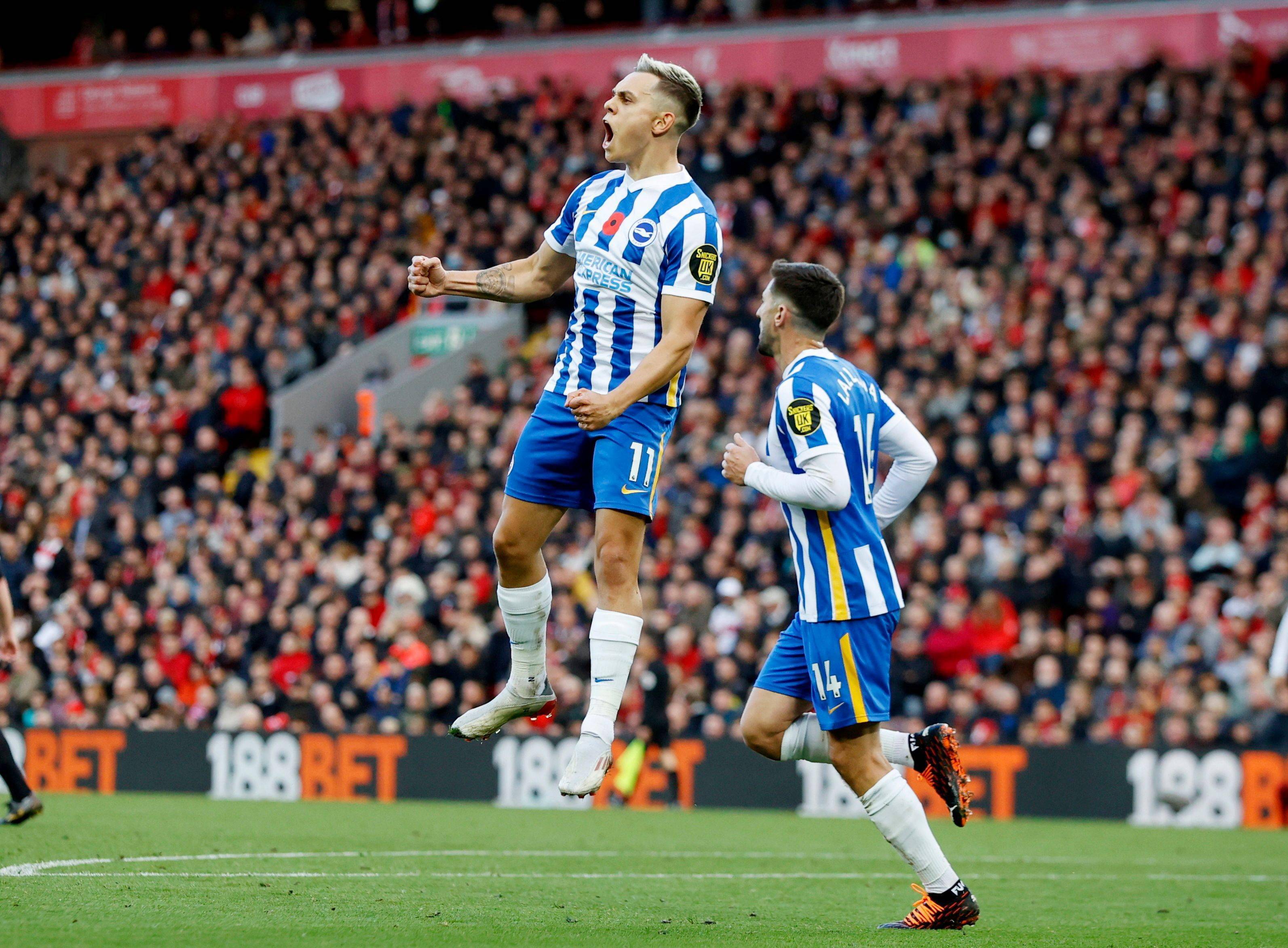 样评价他的 样评价他的